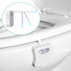 Toilet Night Light